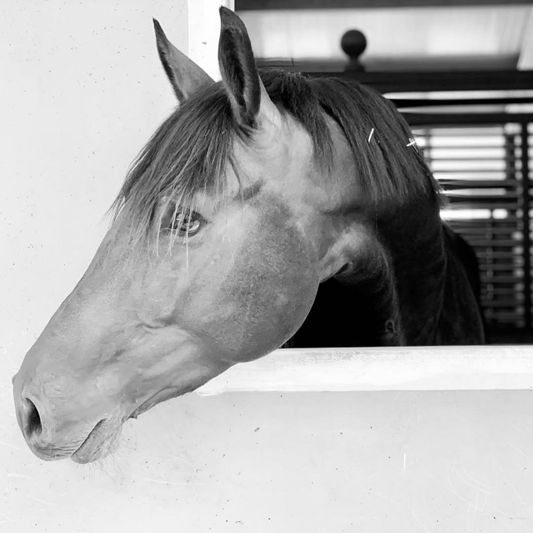 Folding Table MK98860 — 5