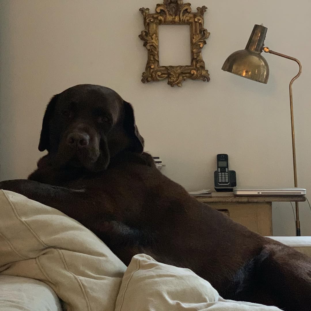 A331 Beehive Pendant — 4